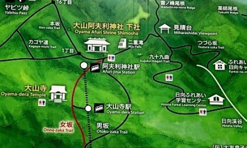 山东绿叶制药主要有些啥产品-权威山东绿叶怎么样平台,分享专业山东绿叶最厉害三个部门知识_山东绿叶还原型说明书网